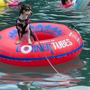 Meet your Posher, Yoselin